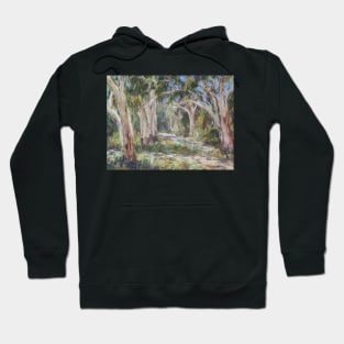 Lake Innes Nature Reserve 2 - plein air Hoodie